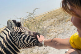 Namibia_August (80/135)